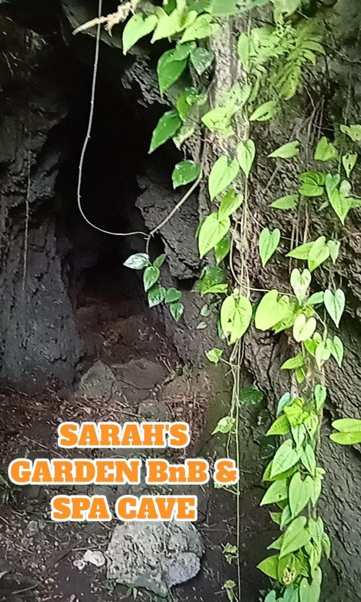 Sarah'S Garden Bnb & Spa Bed & Breakfast Clarin  Exterior foto